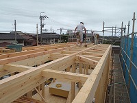 高いところも平気です