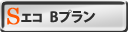 Sエコ（金利Bプラン）
