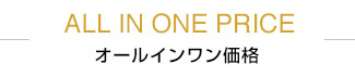 ALL IN ONE PRICE オールインワン価格
