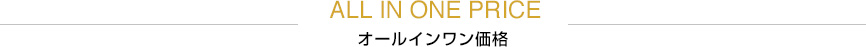 ALL IN ONE PRICE オールインワン価格