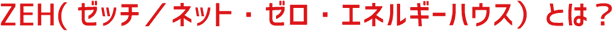 ZEHパック